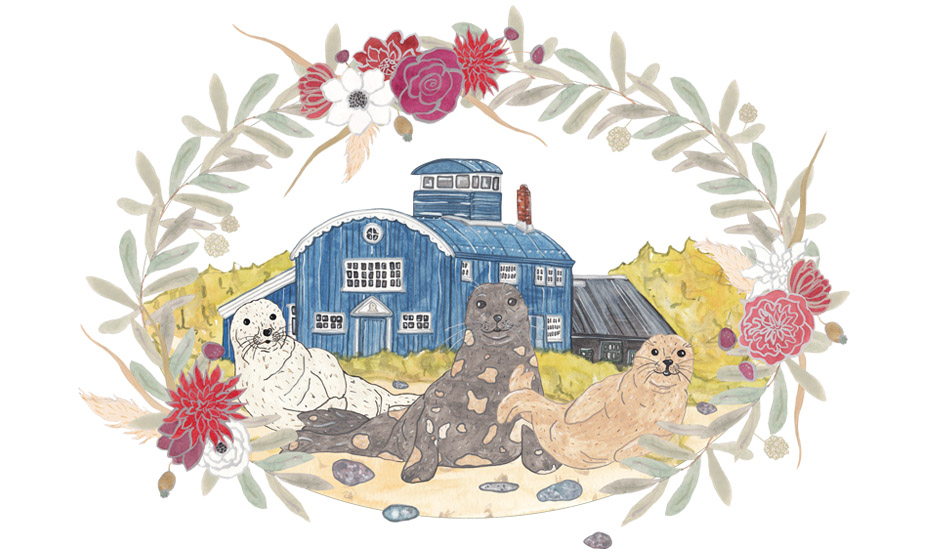 November Calendar page Seal Spotting at Blakeney illustration. Illustration of Seal Spotting at Blakeney